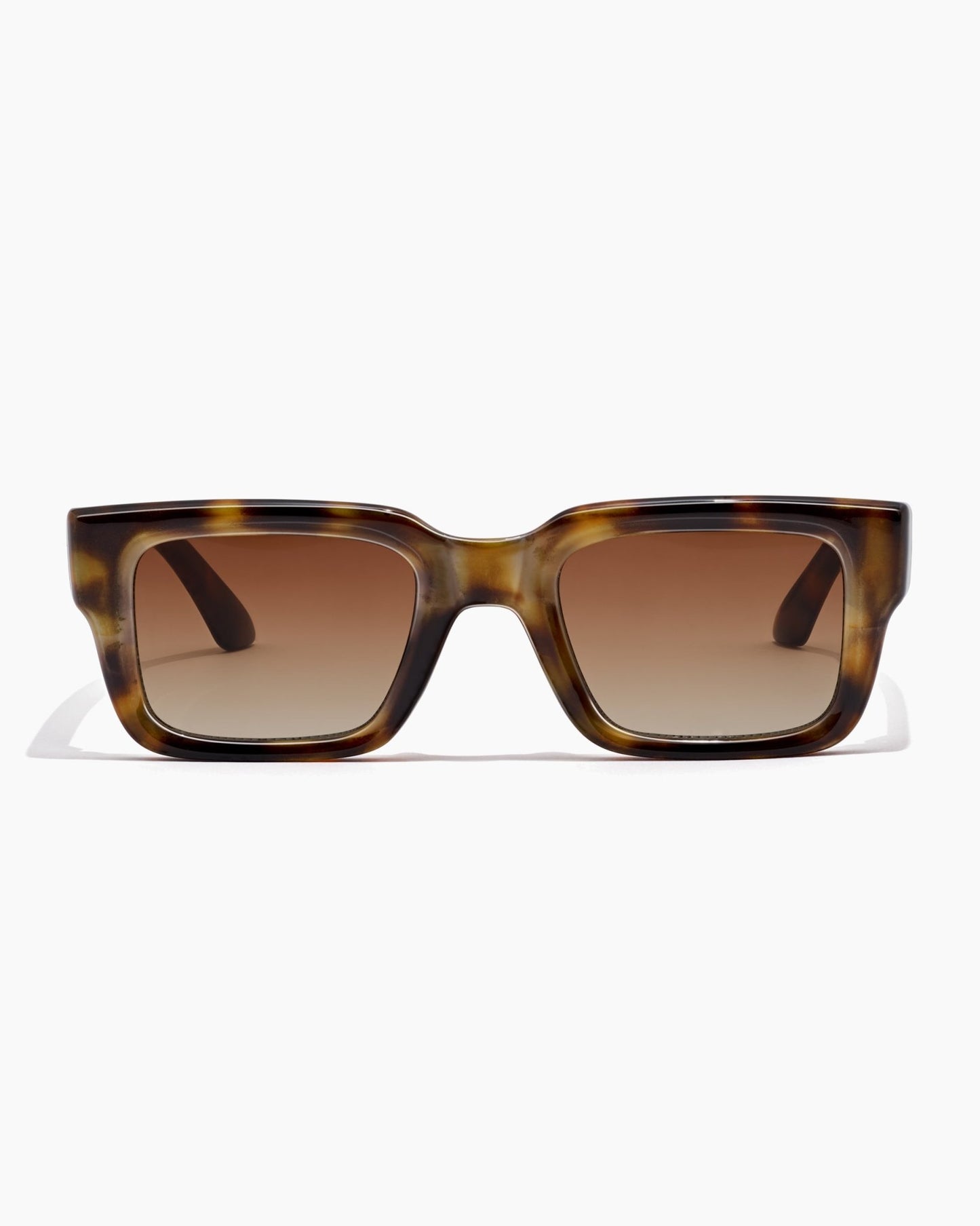 dixon ; cape tortoise / dune