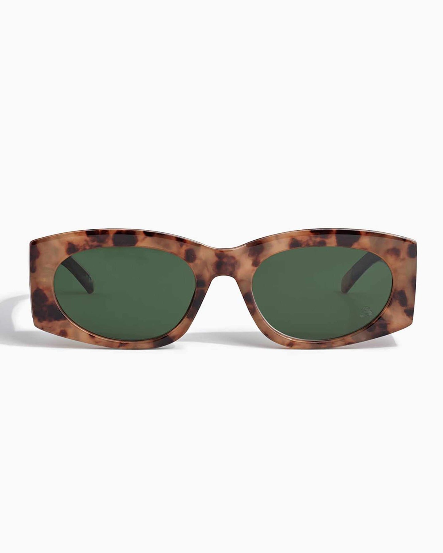 cave ; coquina / moss polarised - szade japan