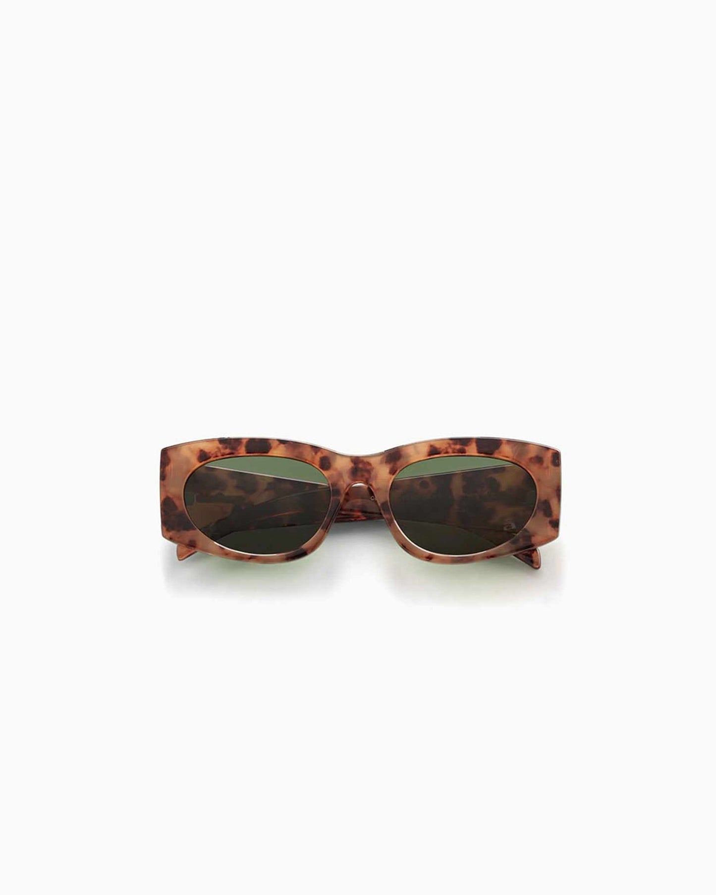 cave ; coquina / moss polarised - szade japan