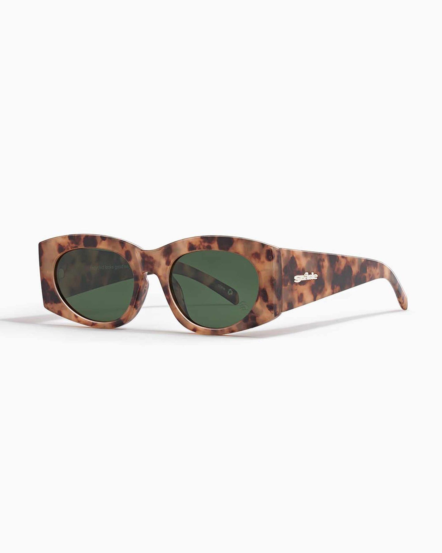 cave ; coquina / moss polarised - szade japan