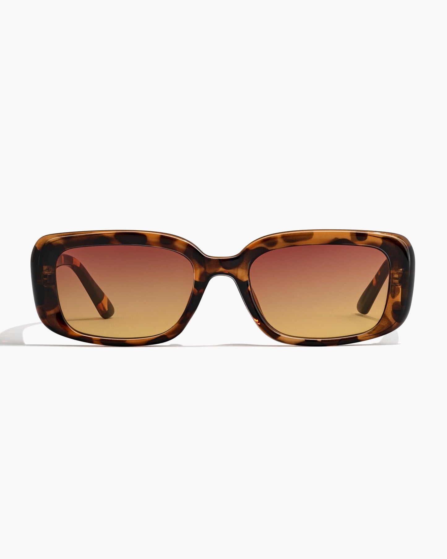 laneway tortoise tequila sunrise