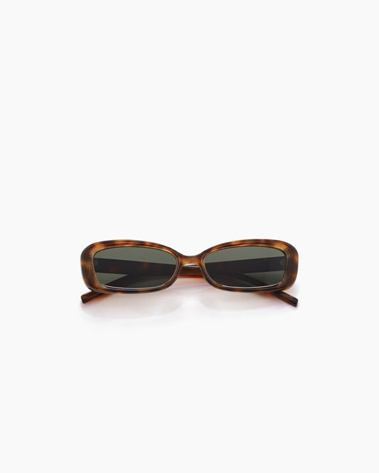 page ; Cape Tortoise / moss polarized